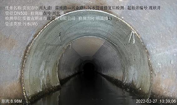 中興大道（雷池路-興業路）污水管道修復工程
